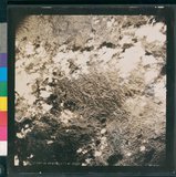 ���Ƚs��:12-5947