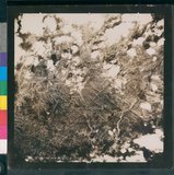 ���Ƚs��:12-5947