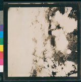 ���Ƚs��:12-5947