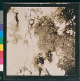 ���Ƚs��:12-5947