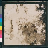 ���Ƚs��:12-5947