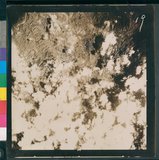 ���Ƚs��:12-5947