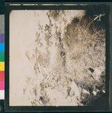 ���Ƚs��:12-5947