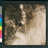 ���Ƚs��:12-5947