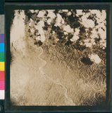 ���Ƚs��:12-5947