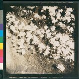 ���Ƚs��:12-5947