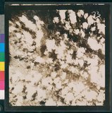 ���Ƚs��:12-5947