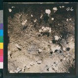 ���Ƚs��:12-5947