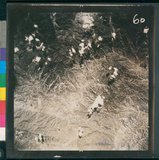 ���Ƚs��:12-5947