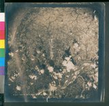 ���Ƚs��:12-5954