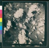 ���Ƚs��:12-5954