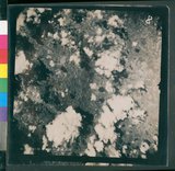 ���Ƚs��:12-5954