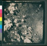 ���Ƚs��:12-5954