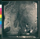 ���Ƚs��:12-5954