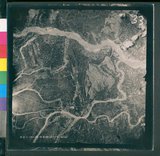 ���Ƚs��:12-5954