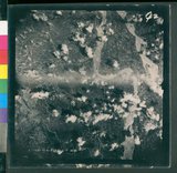 ���Ƚs��:12-5954