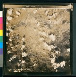 ���Ƚs��:12-5988