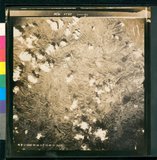 ���Ƚs��:12-5988