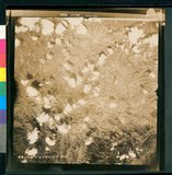 ���Ƚs��:12-5988