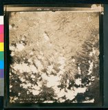 ���Ƚs��:12-5988