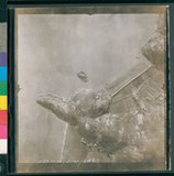 ���Ƚs��:12-819