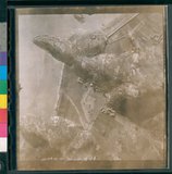 ���Ƚs��:12-819