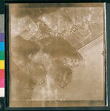 ���Ƚs��:12-819