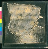 ���Ƚs��:12-889