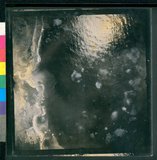 ���Ƚs��:12-889