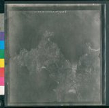 ���Ƚs��:12-919