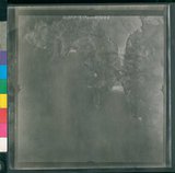 ���Ƚs��:12-919