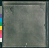 ���Ƚs��:12-919