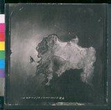 ���Ƚs��:12-939