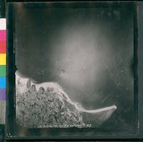 ���Ƚs��:12-939