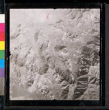 ���Ƚs��:35PR-4MH-10LV