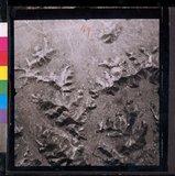 ���Ƚs��:35PR-4MH-10LV