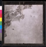 ���Ƚs��:35PR-4MH-10LV