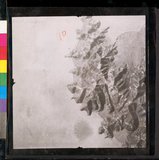 ���Ƚs��:35PR-4MH-10LV