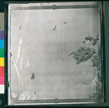 ���Ƚs��:35PR-4MH-11TV