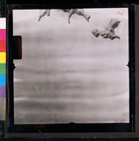 ���Ƚs��:35PR-4MH-12RV