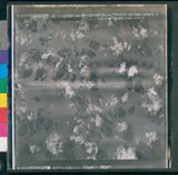 ���Ƚs��:35PR-4MH-12TV