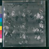 ���Ƚs��:35PR-4MH-12TV