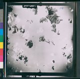 ���Ƚs��:35PR-4MH-16TV