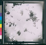 ���Ƚs��:35PR-4MH-16TV