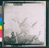 ���Ƚs��:35PR-4MH-26TV