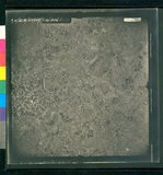 ���Ƚs��:35PR-5MG-48V