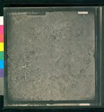 ���Ƚs��:35PR-5MG-48V