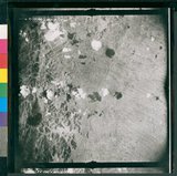 ���Ƚs��:35PR-5MH-12TV