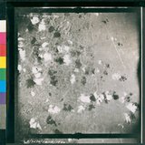 ���Ƚs��:35PR-5MH-12TV