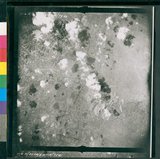 ���Ƚs��:35PR-5MH-12TV